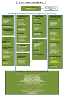 Organization Chart