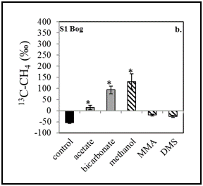 δ13C-CH4 production (n=3 ± SE) following a 23 day incubation of S1 Bog soil.